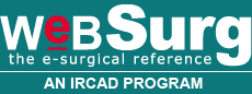 WeBSurg, universidad mundial de cirugía en línea