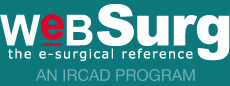 WeBSurg, World Electronic Book of Surgery