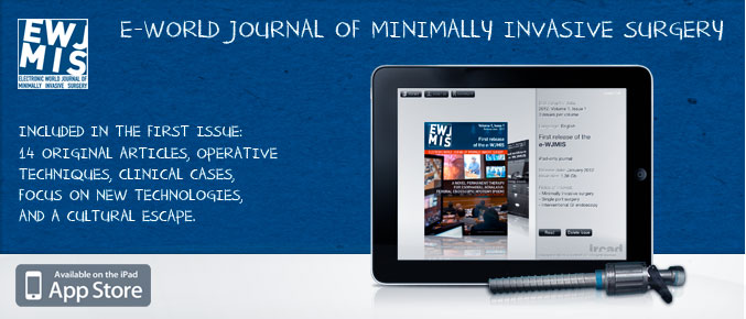 e-world journal of mis