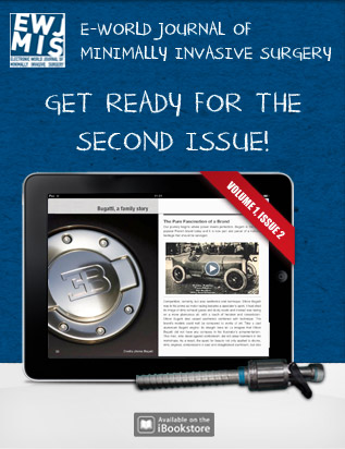 e-world journal 2nd issue