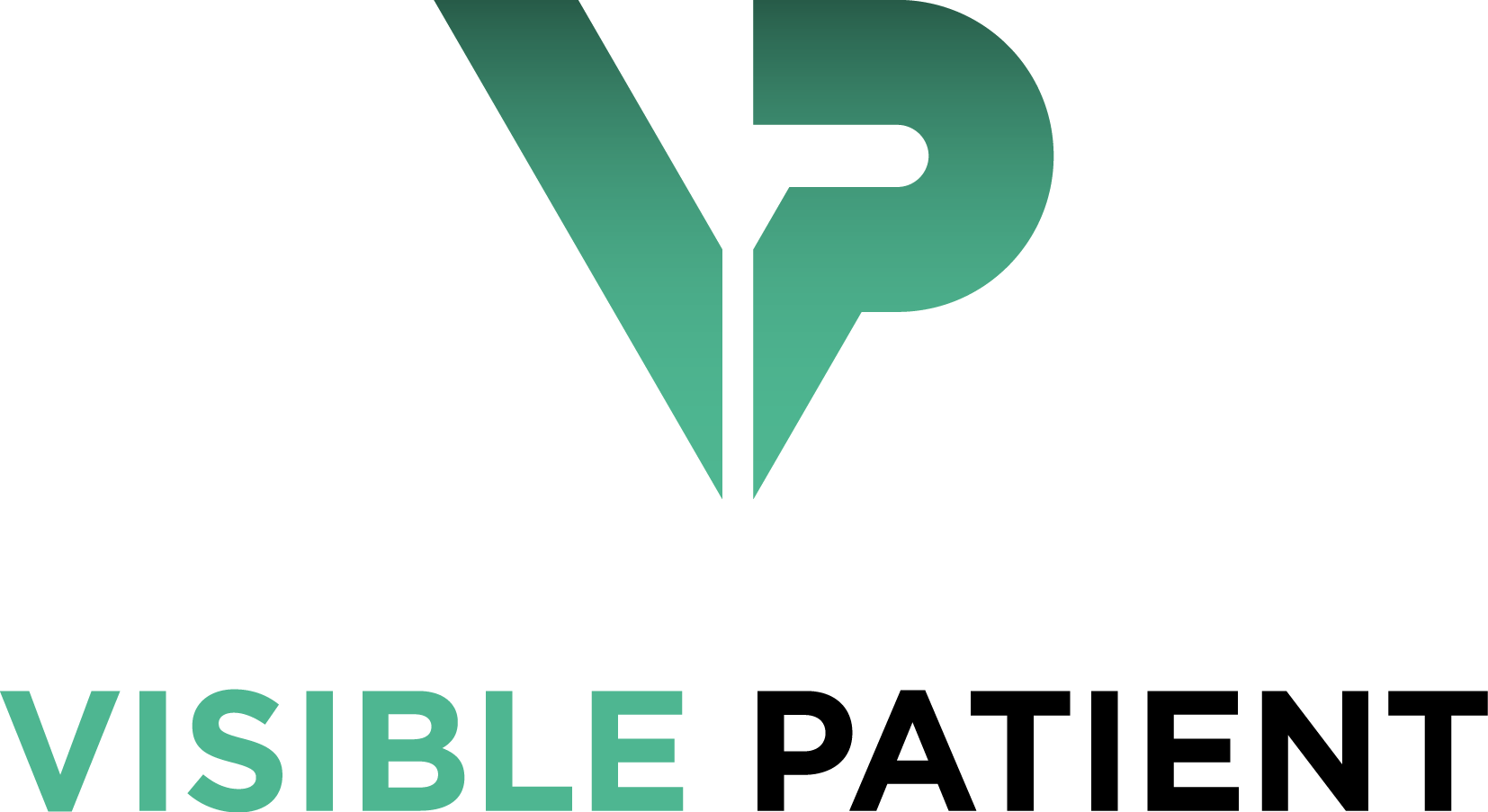 visible-patient-logo